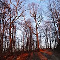 Winter Sunset in Georgia Mountains